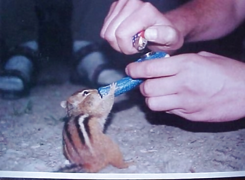 Just for the Fun of it! #2793042