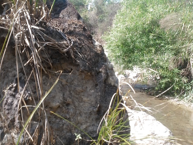 My Hubby's Dick #8533051