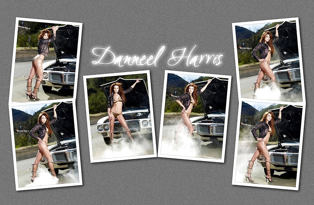 Danneel Harris #16351021