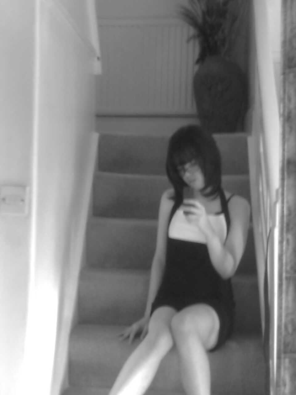 Amateur CD 36 #9858872