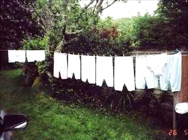 A collection of knickers. #7017430