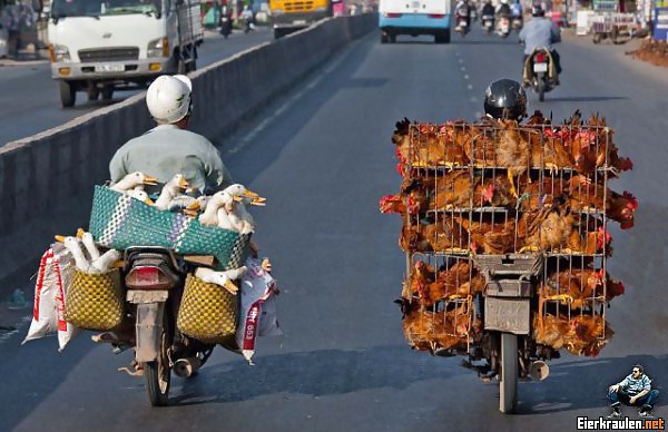 What are you looking at? #20452371