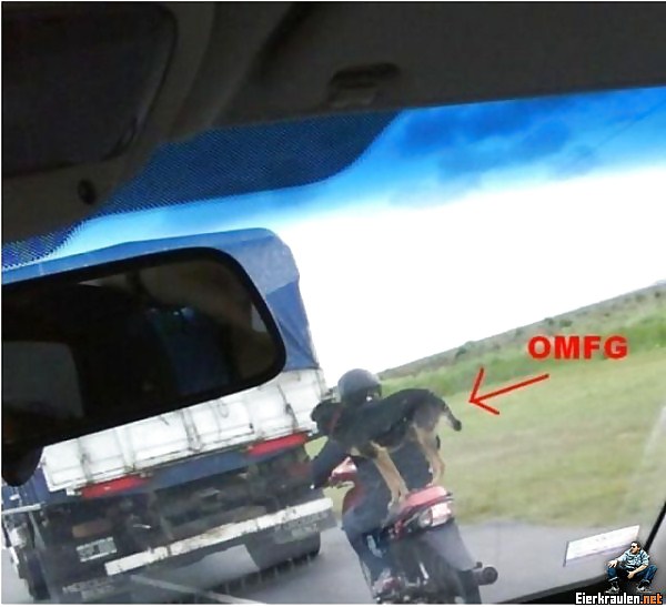 What are you looking at? #20452417