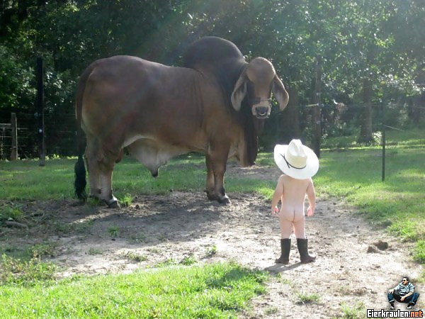 What are you looking at? #20452437