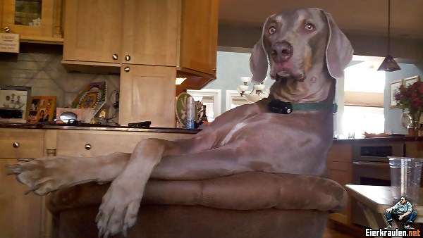 What are you looking at? #20452631