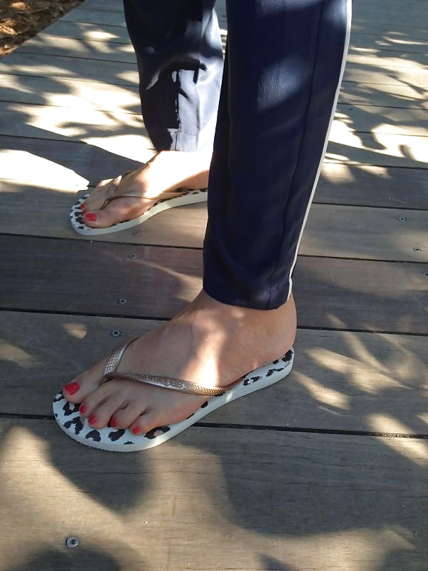 Alessia Marcuzzi Feet #14775512