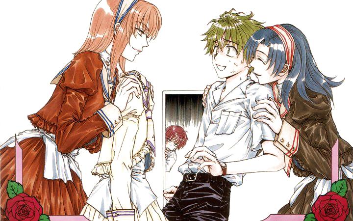 Fem Bois 3 #15130537