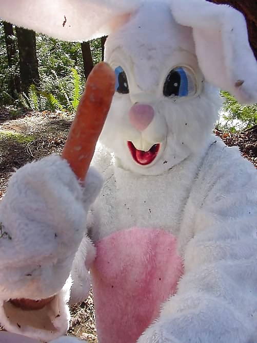 Amateur 11 - bunny special #4604114