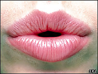 Labios
 #2310135