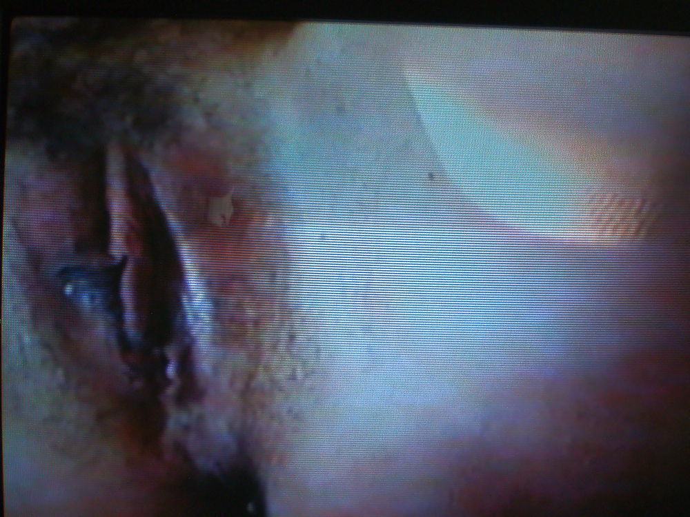 Mijn kutte #14480153