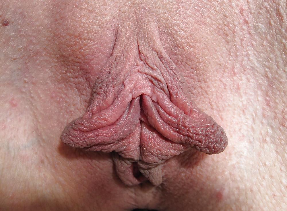 Shelly's luscious labia #885919