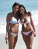 Cougars with their cubs - 2 #20791678