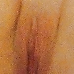My form of pussys. #9383406