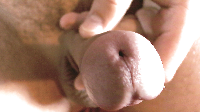 Sunday Shoot #4021708