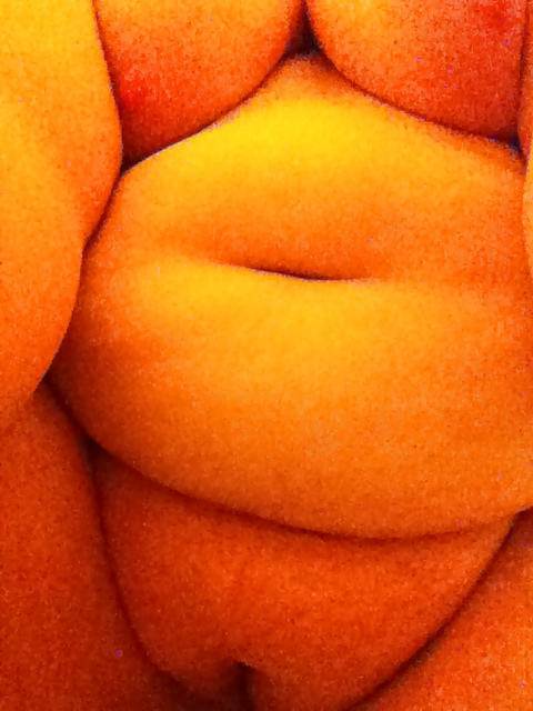 Fat 