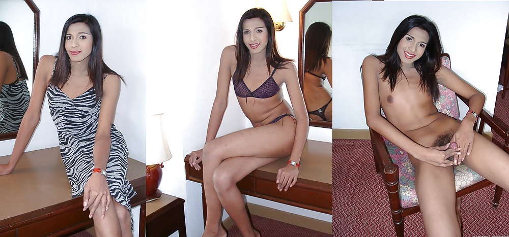 Alegres shemales
 #21428348