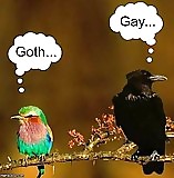 Funny Pics and other randomness #19385326