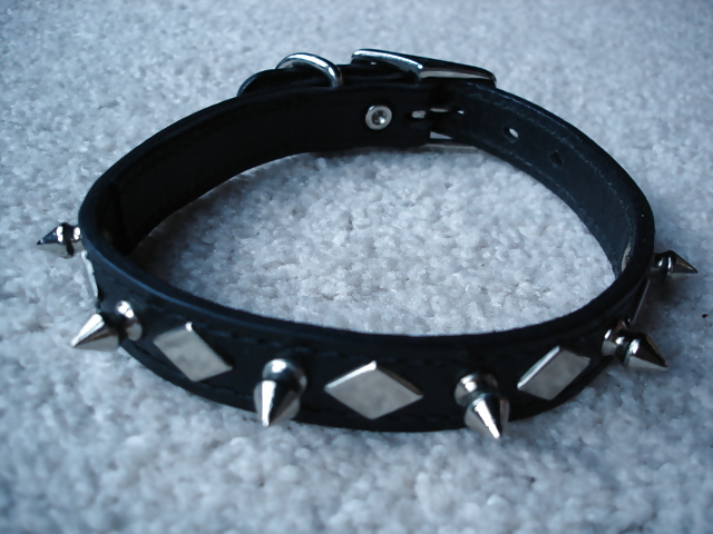 Collars and leashes and chains, Oh My! #20646184
