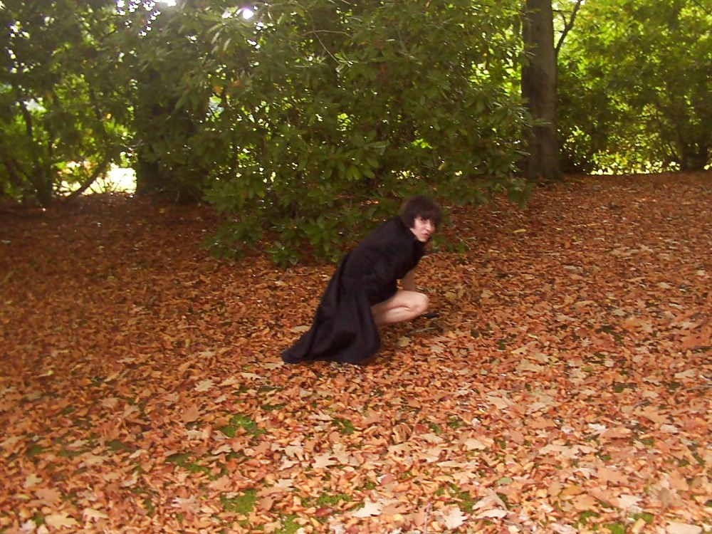 Auf dem friedhof
 #3289287