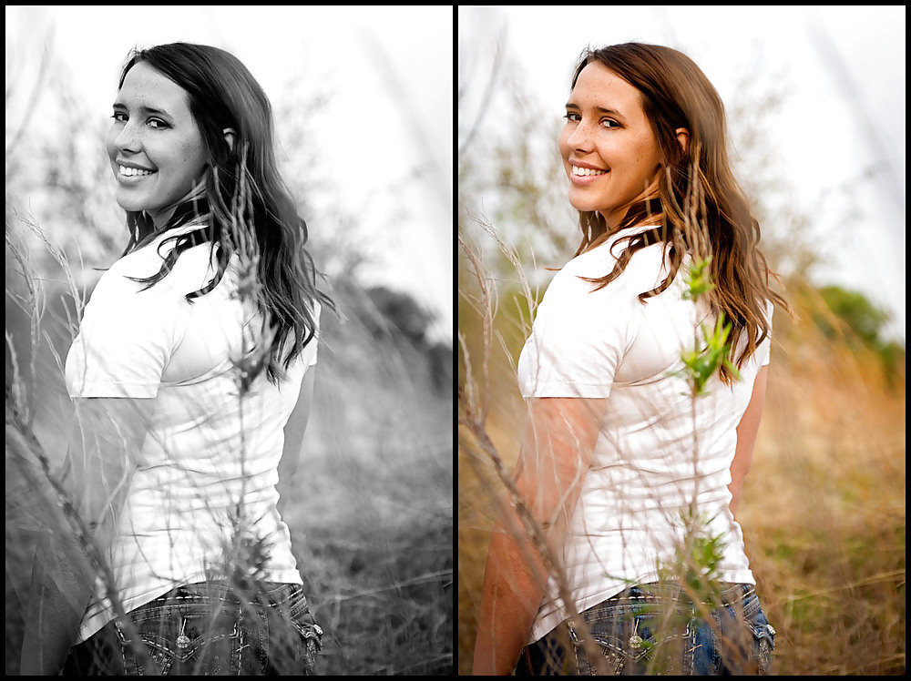 Freckles In A Field #5842464