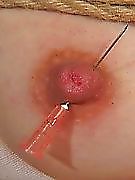 Slave Kitty's love for pleasurable pain #3827514