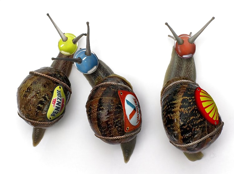 Cosas de locos 2
 #14082177