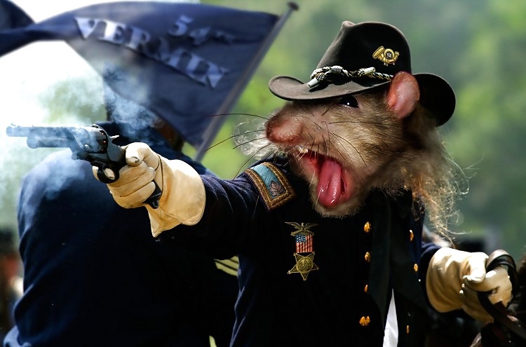 Cosas de locos 2
 #14082198