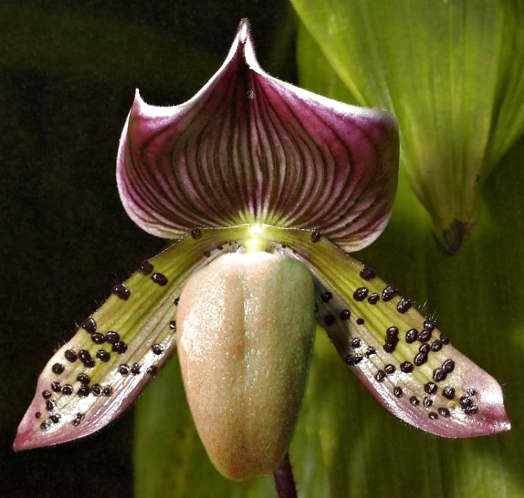 Cosas de locos 2
 #14082213