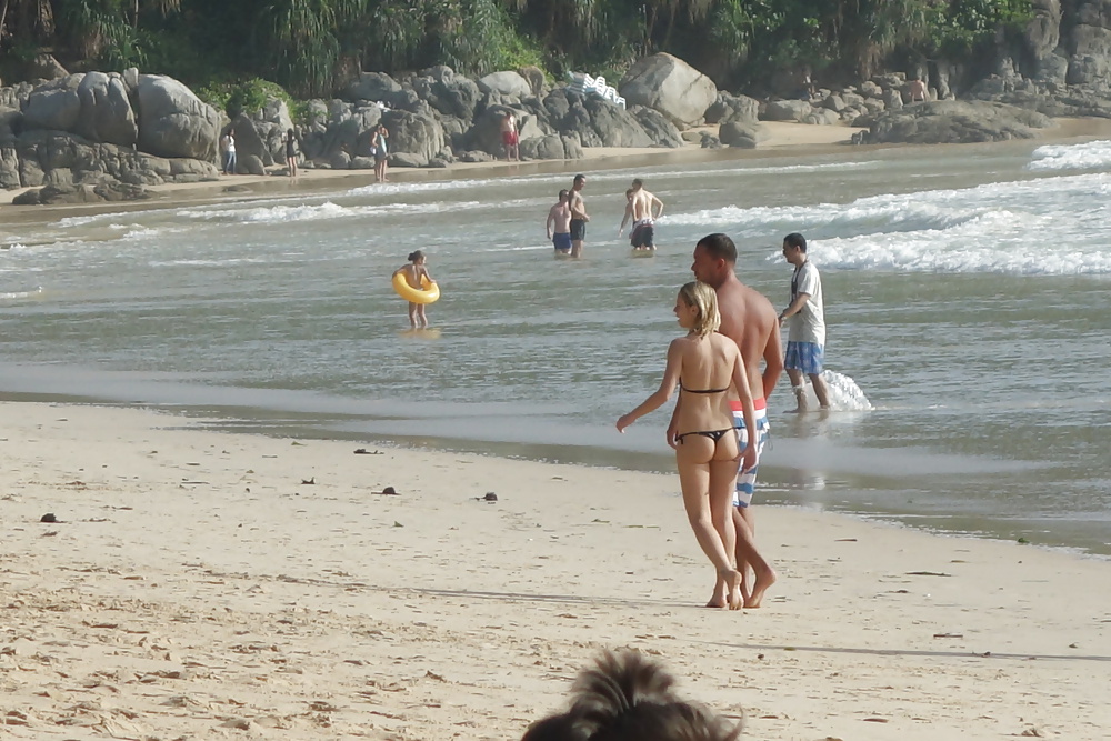 Rusa de la playa tailandesa
 #18008907