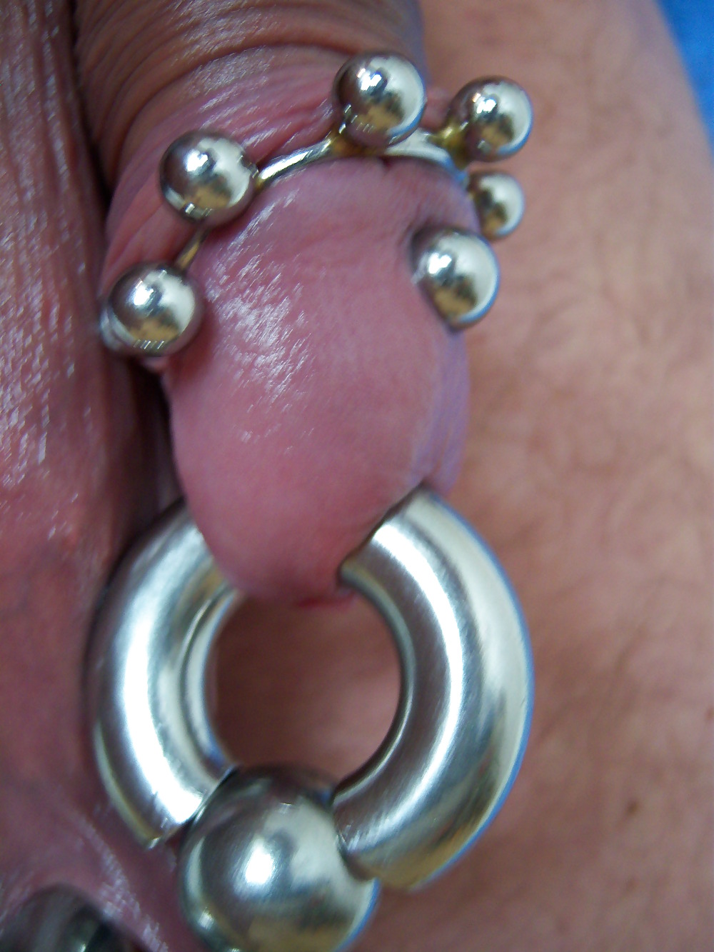 My pierced genitals and nipples. #664197