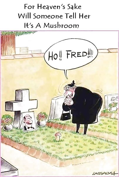 Diversión 2
 #13562555