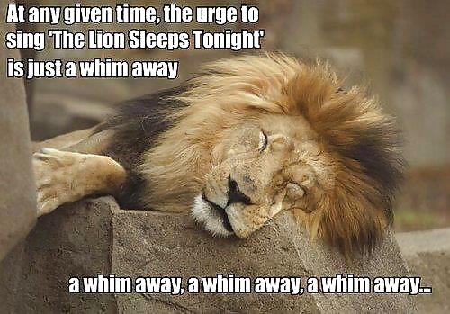 Random things that tickle me #10719335