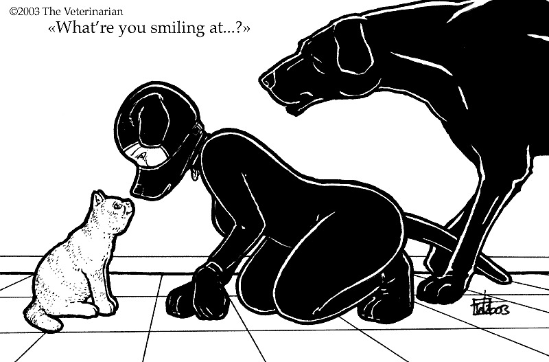 I Want A PuppyGirl for Christmas #8702574