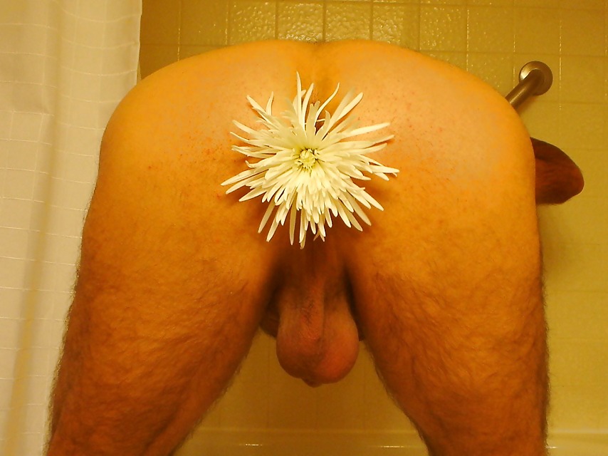 Flower in my ass... #1821614