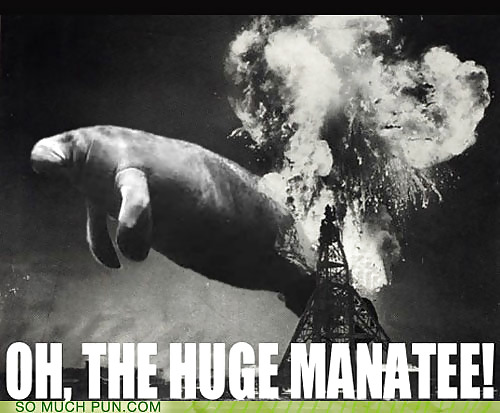 Be more Funny2 #2455261