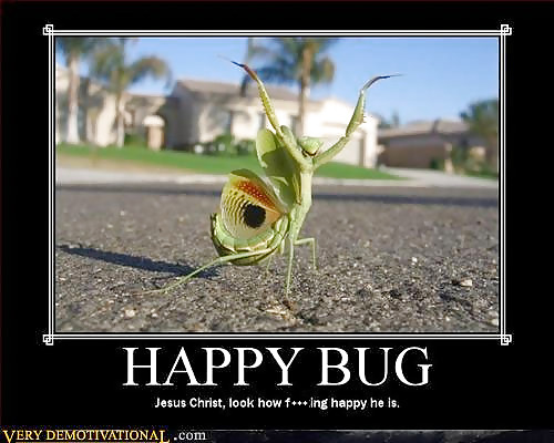 Be more Funny2 #2455339