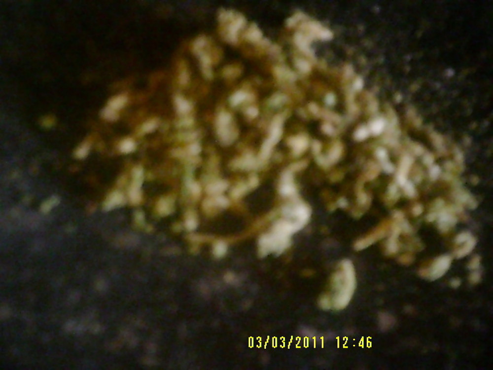 O.g. kush #10000227