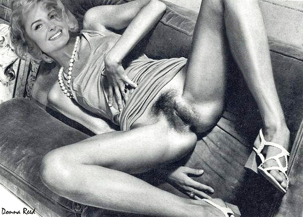 Donna Reed - Naked & Fucking (Fakes) #18038709