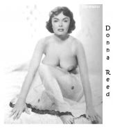 Pictures reed donna naked of Donna Reed