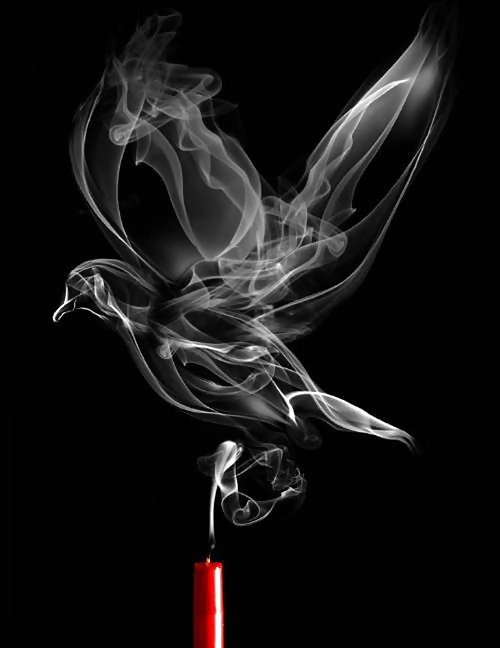 The bird