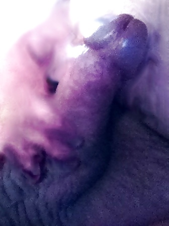 Cock2 #12710273