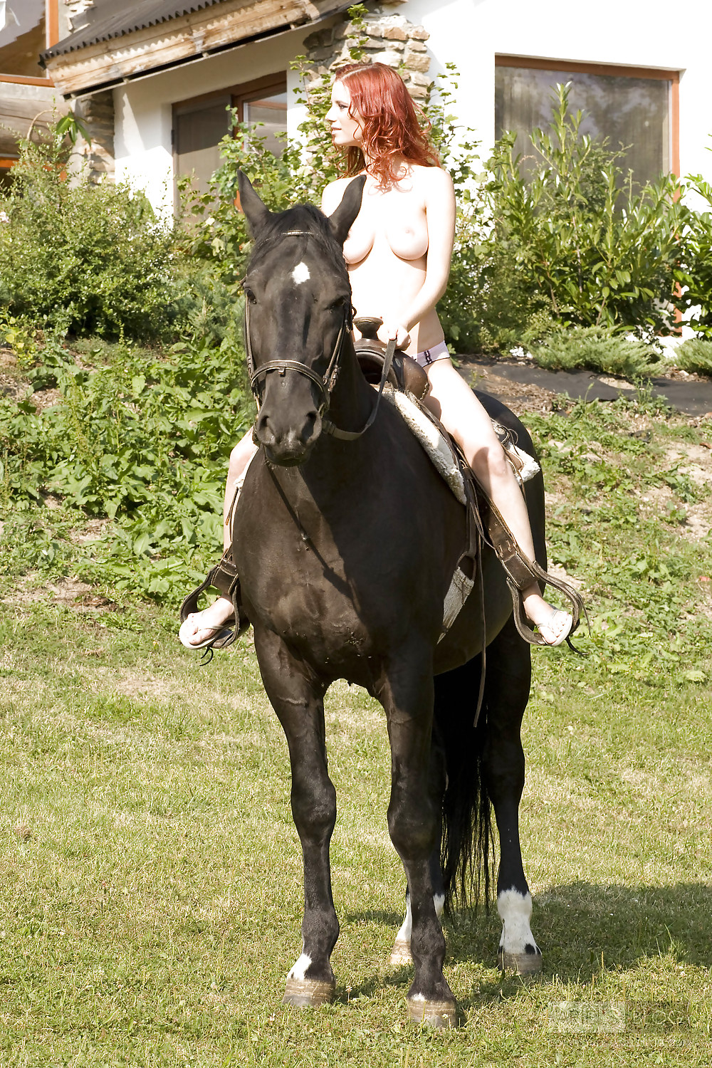 Donne e cavallo
 #2331841