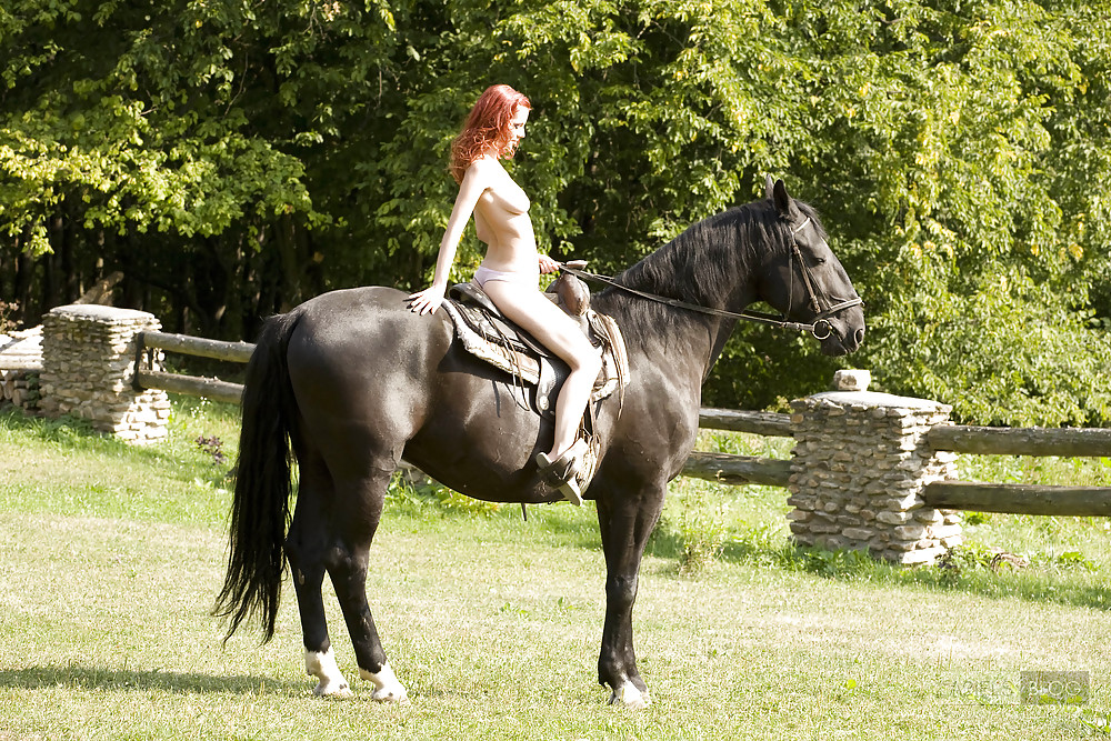 Las mujeres y el caballo
 #2331864