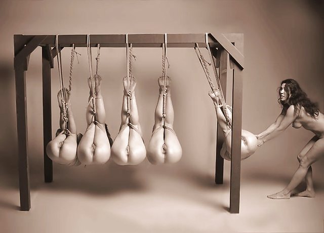 Fable is life #9587269