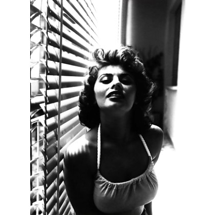 Sophia loren
 #18074630