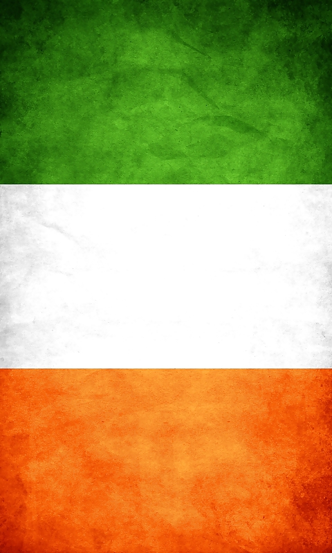 Irish flag #19866884