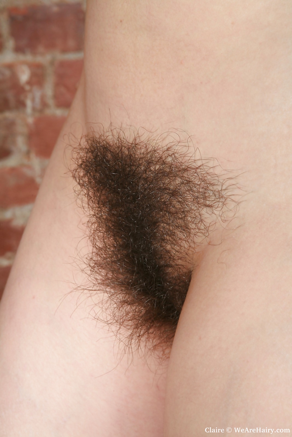 Real Hairy Pussy 2 #15005015