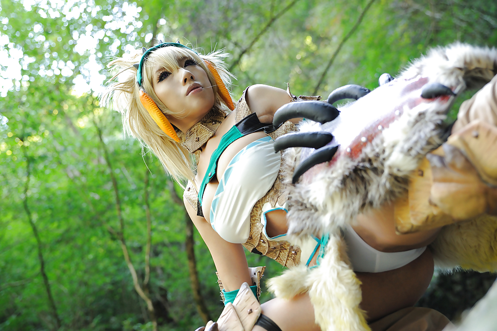 Monster Hunter Cosplay 2 #18858642