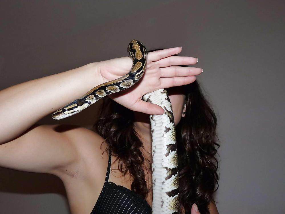 SNAKE BEAUTY #9869307