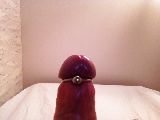 Cock #3653597